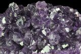 Purple Amethyst Cluster - Uruguay #66782-2